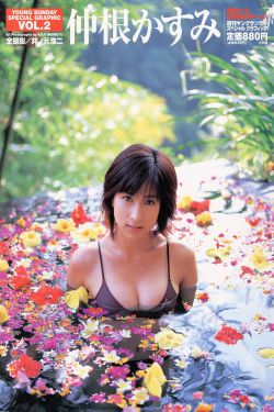 下水道的美鱼人鱼